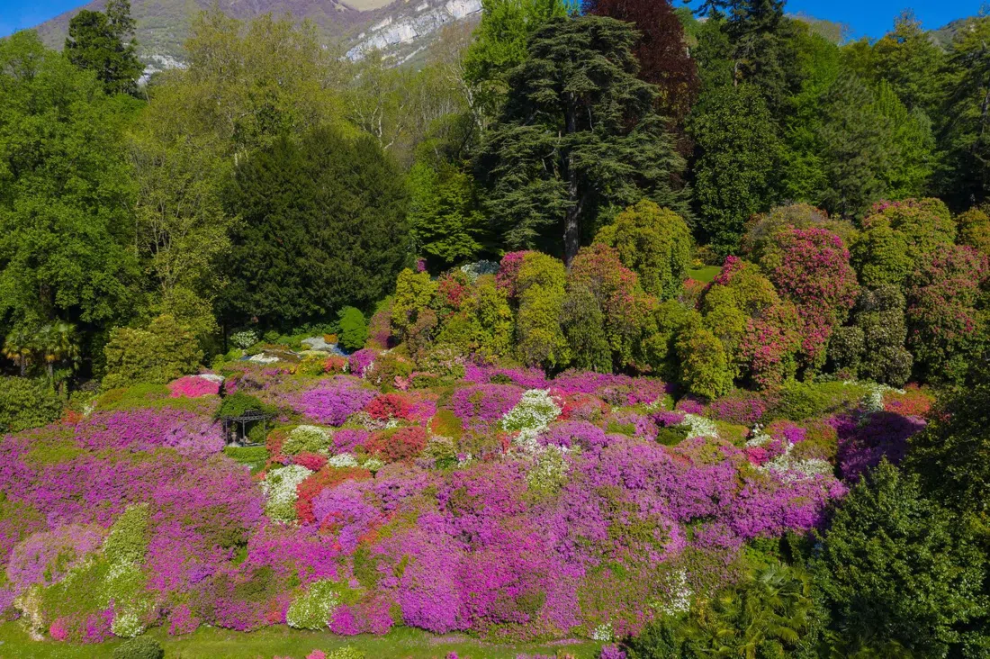 Villa Carlotta, Milano