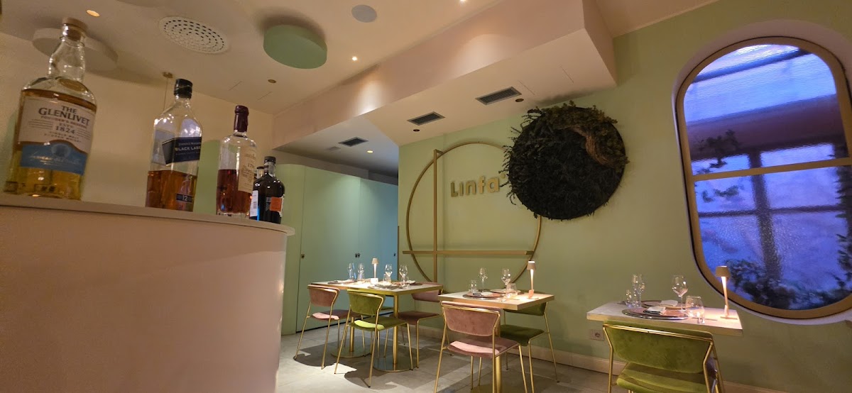 Linfa — photo 2